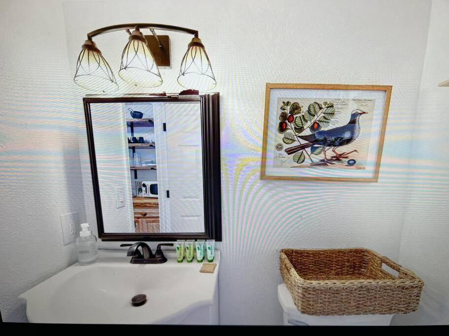 New Modern Boho Apt- Close To Yosemite Oakhurst Eksteriør bilde